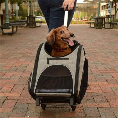 Bergan® Rolling Pet Carrier™ from Coastal Pet Products #COP™