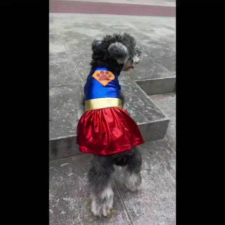 Superhero Dog Costume with Cape & Paw Print Logo