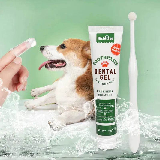 Pet Oral Care 3 piece Kit Dog Cat Dental Care