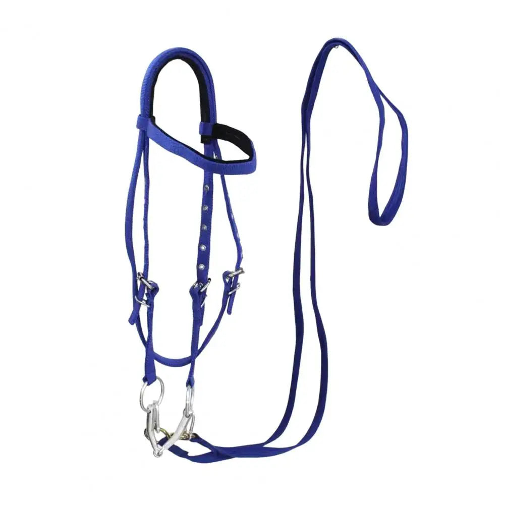Horse Halter Adjustable Chin Horse Halter Plush Padded Horse Training Equestrian Accessory Adjustable Buckle Horses Halter