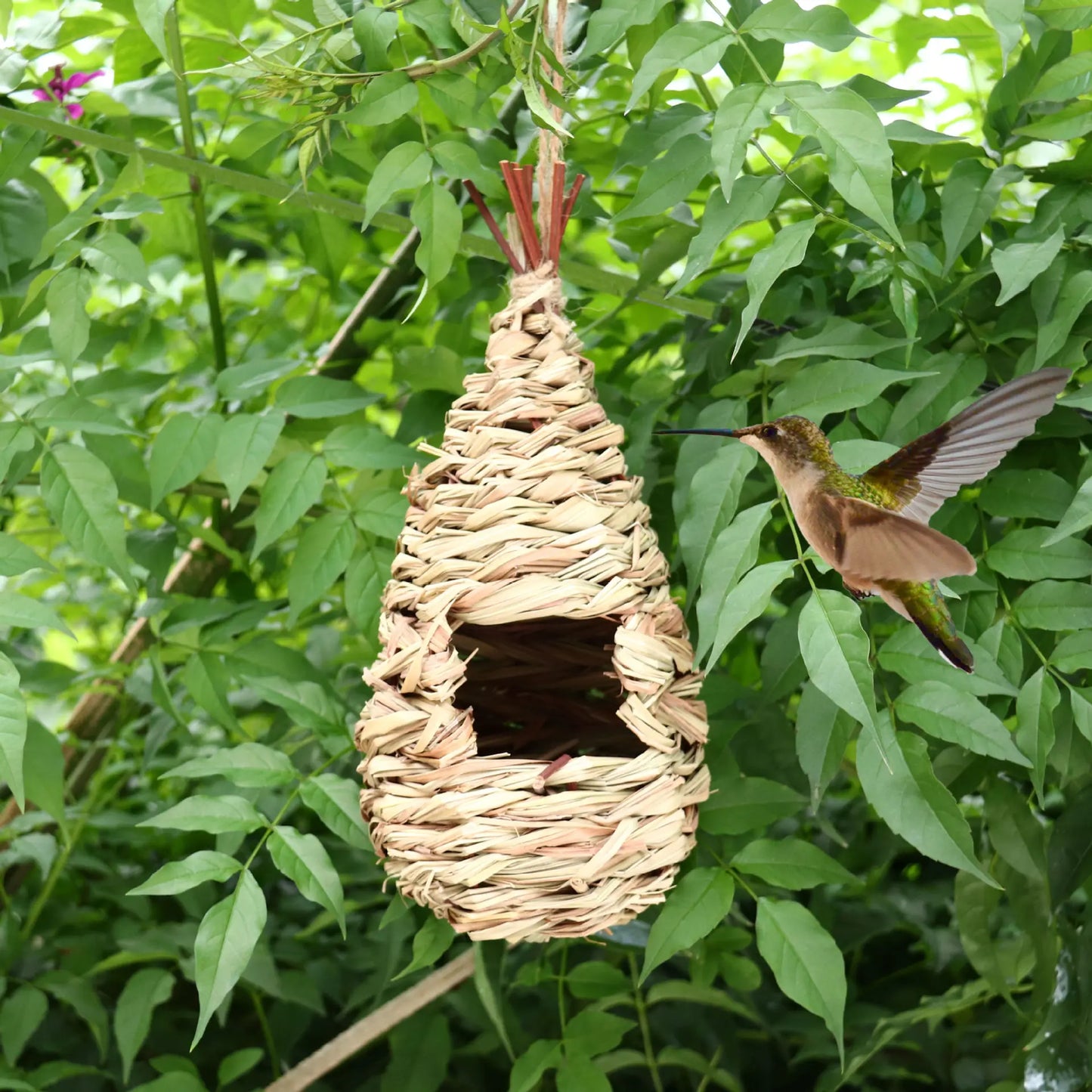 1PC Hand Woven Hibiscus Grass Nest Gourd Bird House for Outdoor Garden Bird Shelter