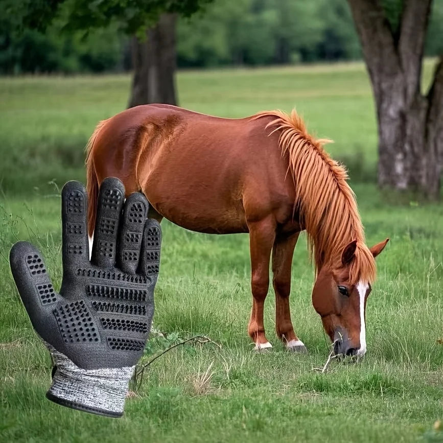 Best Quality Grooming gloves for horse