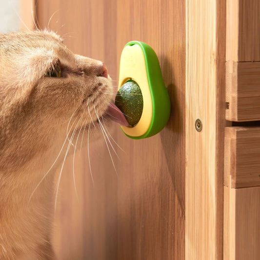 Healthy Rotatable Wall Stick-on Ball Cats Teeth Cleaning natural Catnip Ball