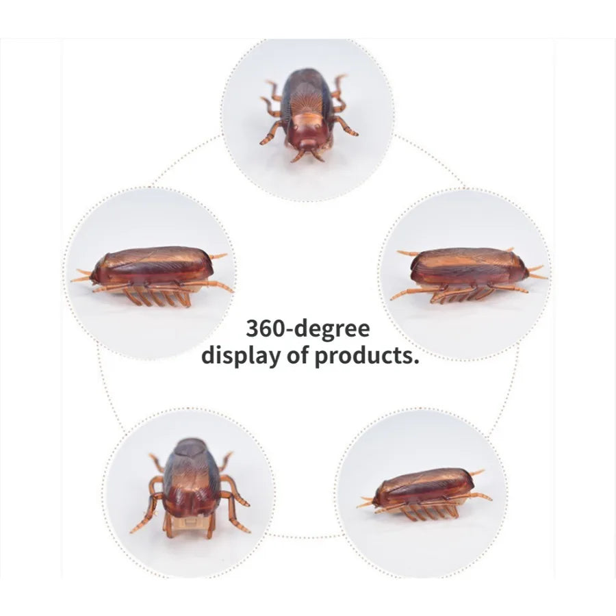 Funny Simulation of Cockroaches for Pets