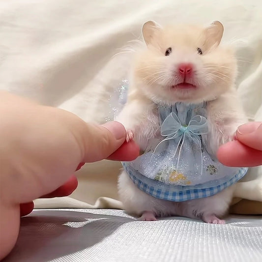 Lovely Handmade Mini Hamster Dress Princess Skirt Bow Coat for Small Pets Soft Coat for Ferrets Hamsters Guinea Pigs