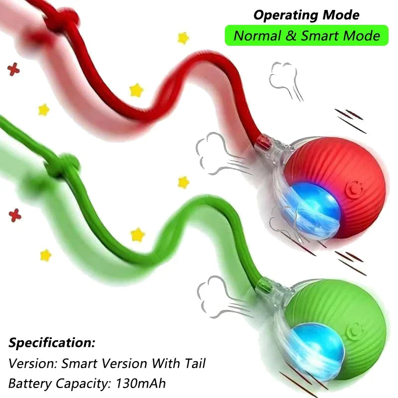 Indoor Interactive Birds Toy for Cat