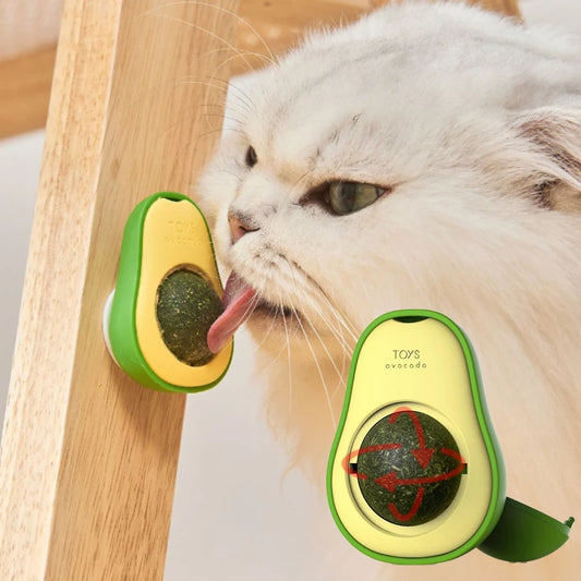 Healthy Rotatable Wall Stick-on Ball Cats Teeth Cleaning natural Catnip Ball