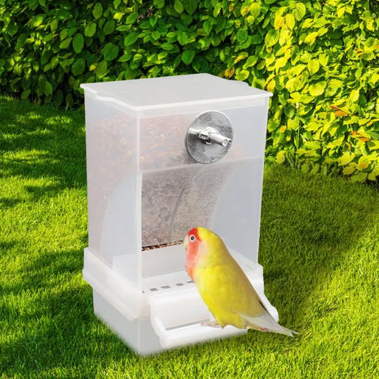 Automatic Birds Feeder Birdcage Feeder Automatic Parrot Feeder with Capacity Birdseed Dispenser for Small Medium for Birds
