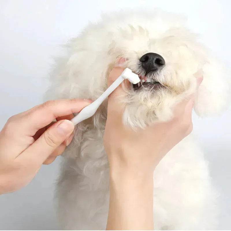 Pet Oral Care 3 piece Kit Dog Cat Dental Care