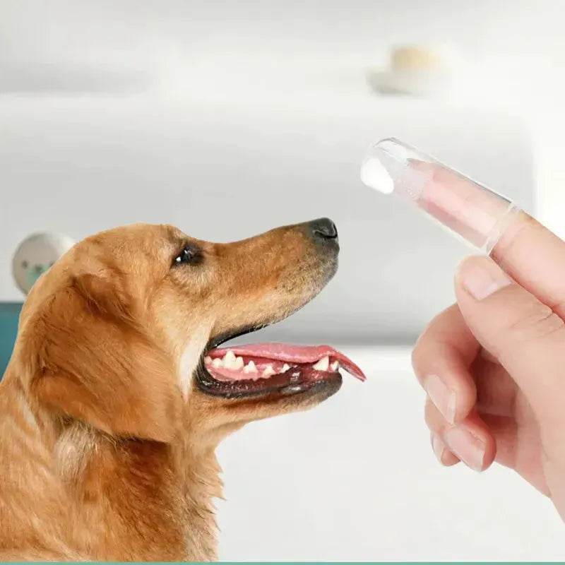Pet Oral Care 3 piece Kit Dog Cat Dental Care