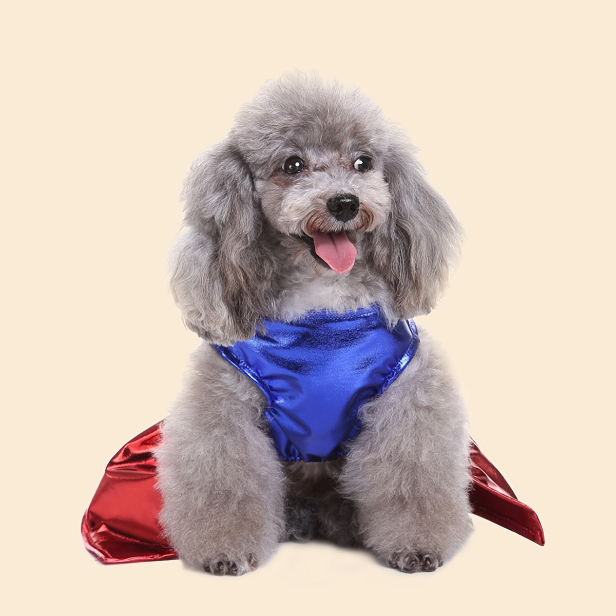 Superhero Dog Costume with Cape & Paw Print Logo