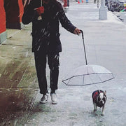 Transparent Dog Umbrella with Traction Chain
