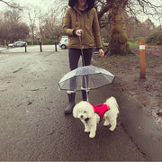 Transparent Dog Umbrella with Traction Chain