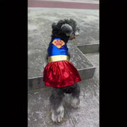 Superhero Dog Costume with Cape & Paw Print Logo
