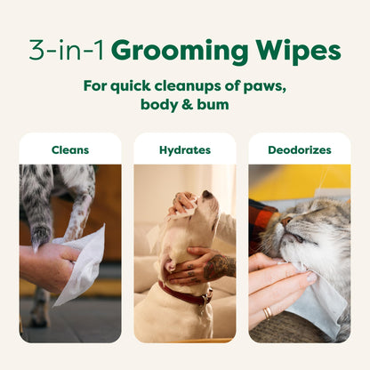 Earth Rated Pet Ear Wipes for Dogs & Cats in Canada