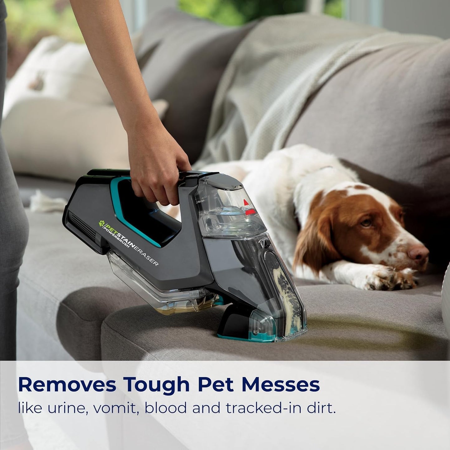 BISSELL Professional Pet Spot & Stain + OXY Formula for Portable Carpet and Upholstery Cleaners, Car and Auto Detailer, Solution for Little Green & SpotClean Machines (32 oz), 2034C