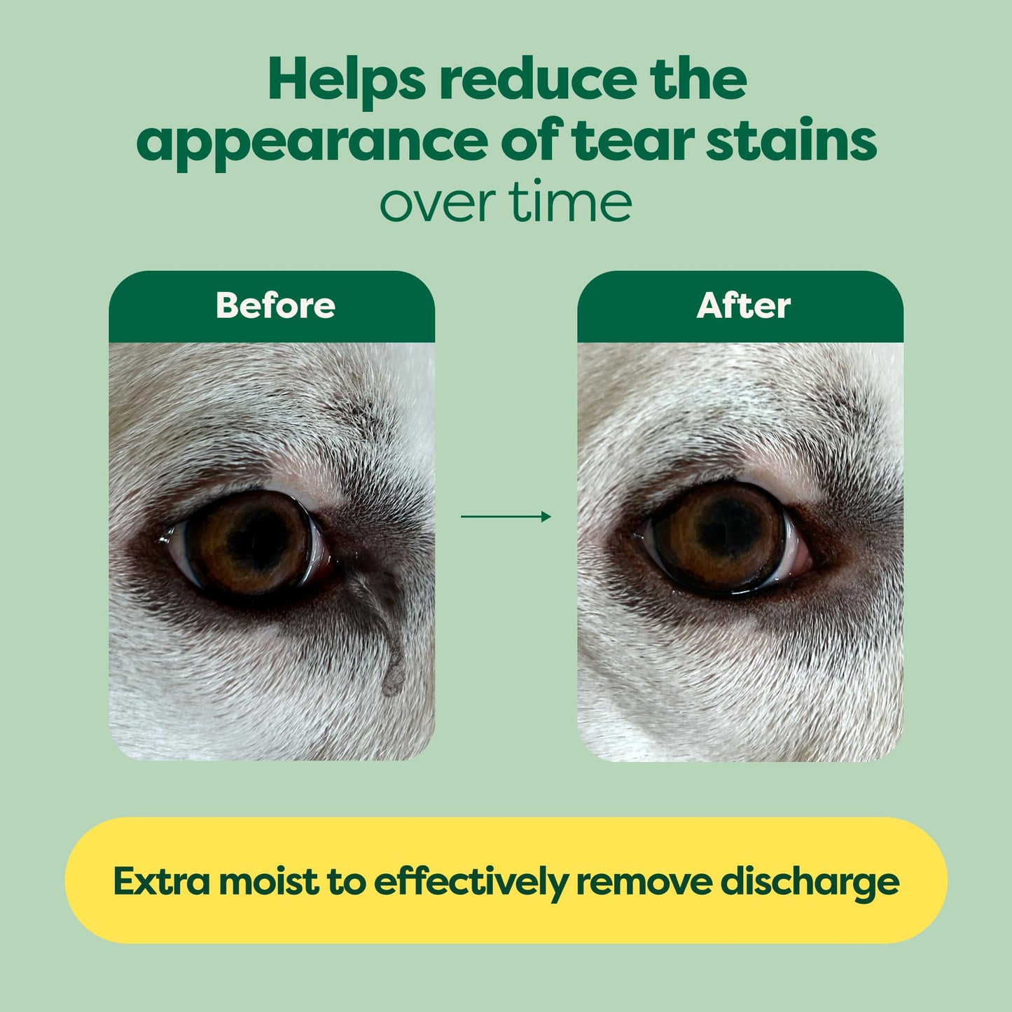 Earth Rated (A Canadian Company) Vet-Developed Pet Ear Wipes, Hypoallergenic Cleaner for Dogs & Cats Ears to Remove Dirt and Wax Build Up, Wild Oat Scent, 70 Count