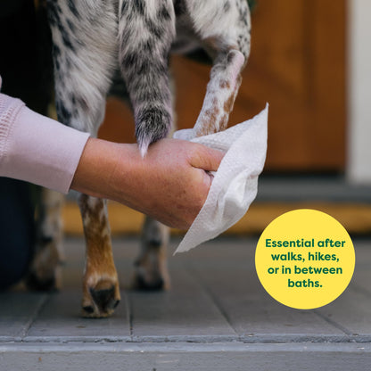 Earth Rated Pet Ear Wipes for Dogs & Cats in Canada