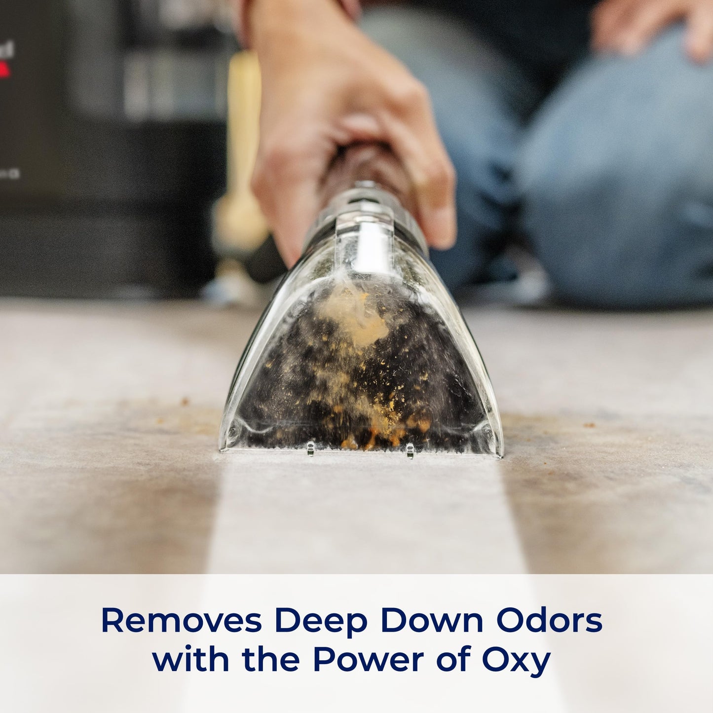 BISSELL Professional Pet Spot & Stain + OXY Formula for Portable Carpet and Upholstery Cleaners, Car and Auto Detailer, Solution for Little Green & SpotClean Machines (32 oz), 2034C