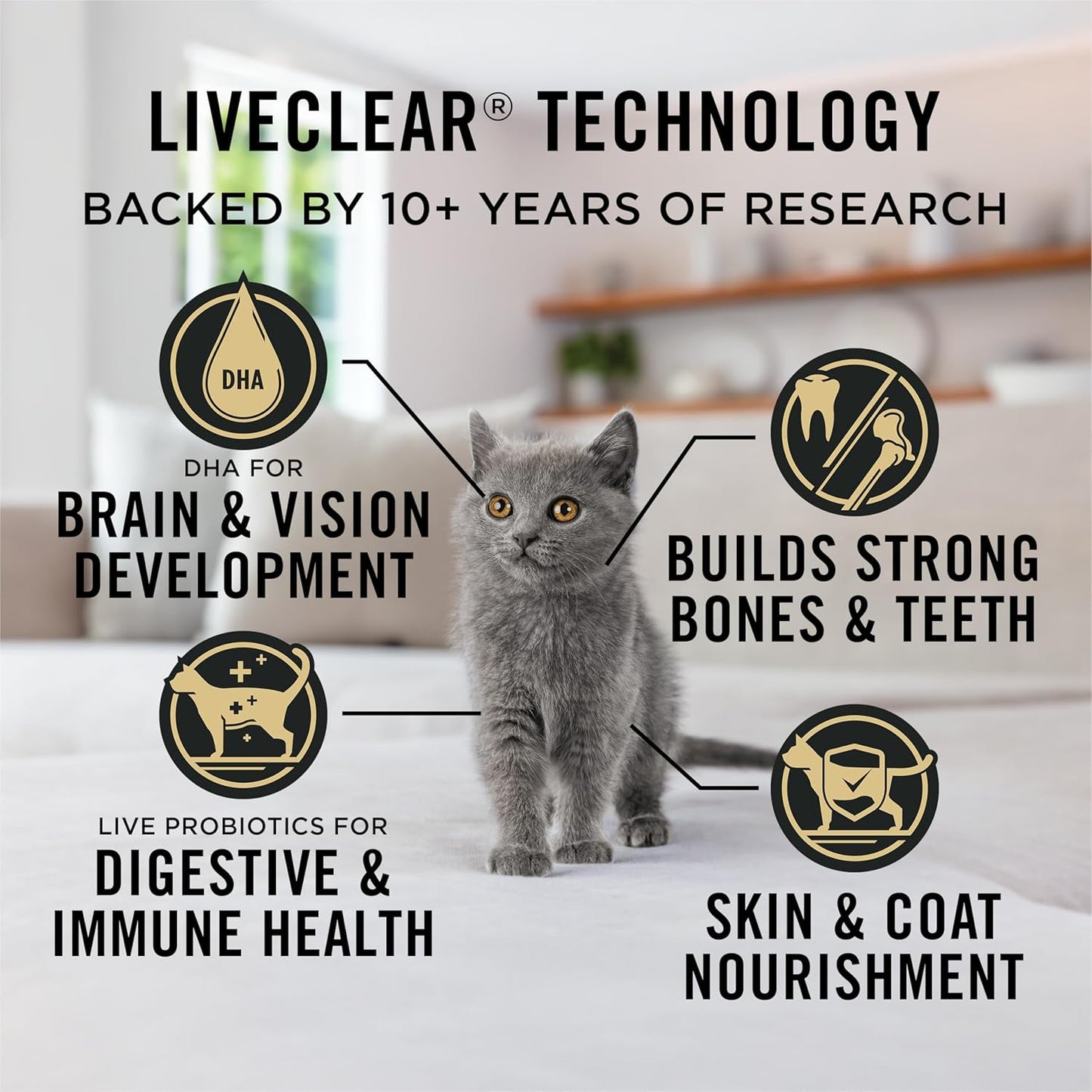 Purina Pro Plan LiveClear Allergen Reducing Dry Kitten Food, Chicken & Rice - 1.45 kg Bag