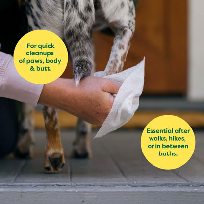 Earth Rated Pet Ear Wipes for Dogs & Cats in Canada