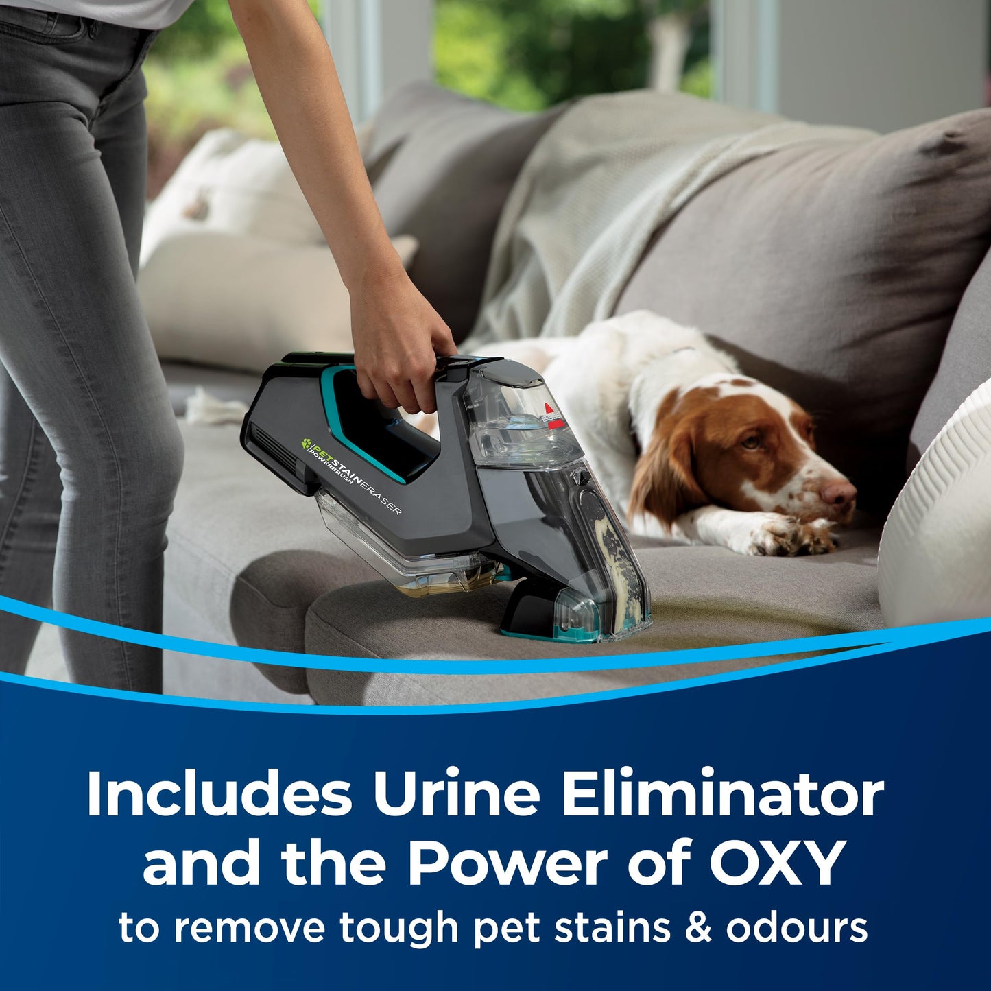 BISSELL Professional Pet Spot & Stain + OXY Formula for Portable Carpet and Upholstery Cleaners, Car and Auto Detailer, Solution for Little Green & SpotClean Machines (32 oz), 2034C