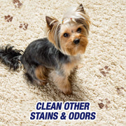 Resolve, Urine Destroyer, 946ml, Clean & Neutralizes Odours on Carpet, Fabric & Hardwood