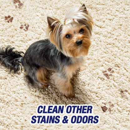 Resolve, Urine Destroyer, 946ml, Clean & Neutralizes Odours on Carpet, Fabric & Hardwood