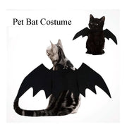 Black Cat Bat Wings Costume Halloween