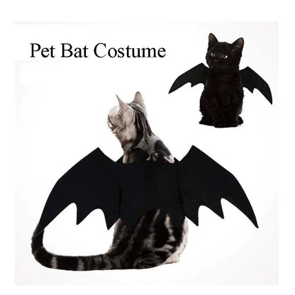 Black Cat Bat Wings Costume Halloween