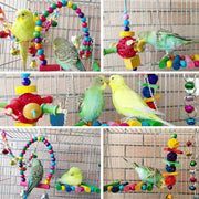 Bird Cage Accessories & Toys