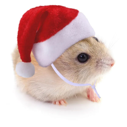 Guinea Pig Christmas Cap Costume
