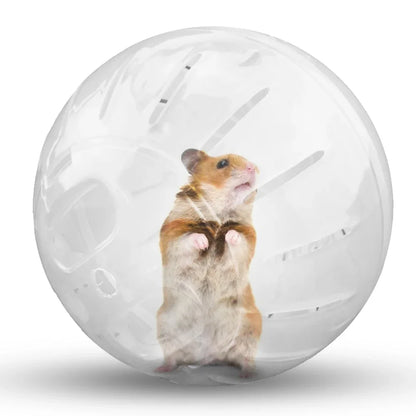 Outdoor Sport Ball for Small Pets