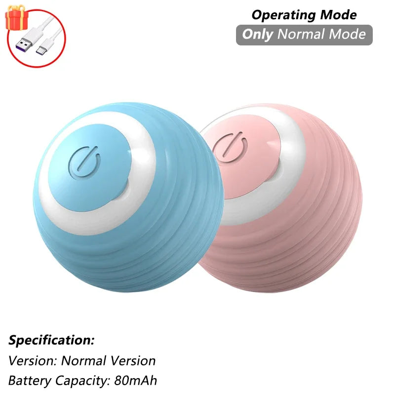 Indoor Interactive Birds Toy for Cat