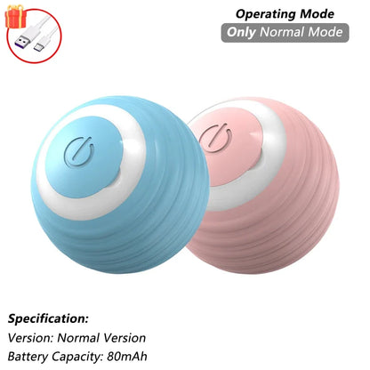 Indoor Interactive Birds Toy for Cat