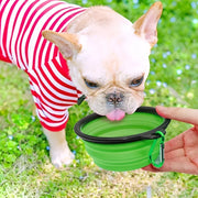 TPR Bowl  for Cat and Dog