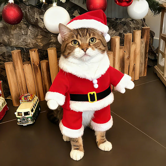 Santa Claus Christmas Pet Costume for Small Medium Dogs Cats