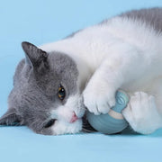 Rechargeable Smart Rolling Ball Toys for Cat