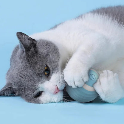 Rechargeable Smart Rolling Ball Toys for Cat