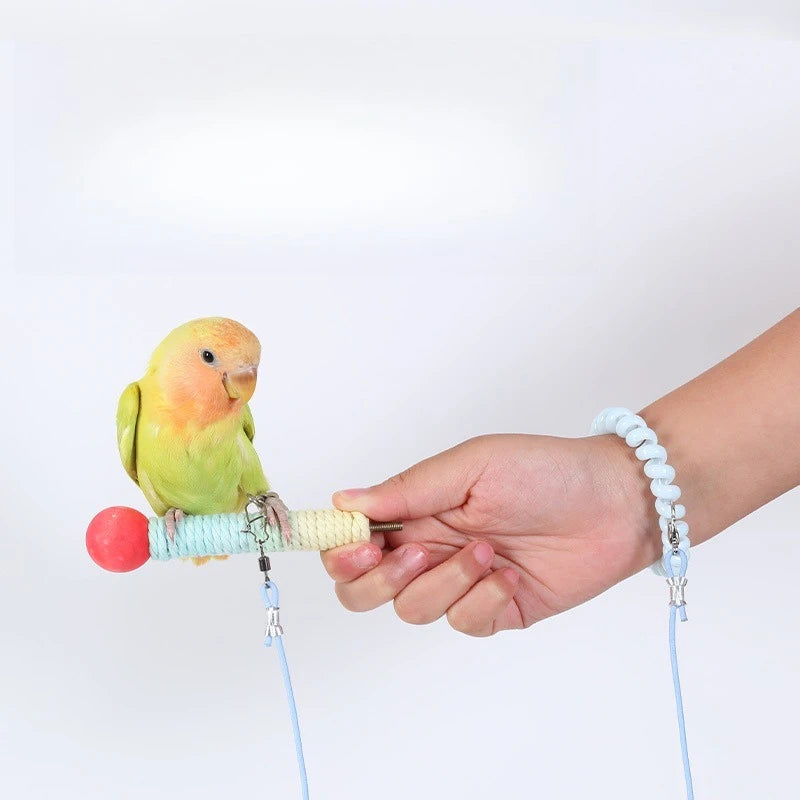 Parrot Bird Flying Training Leash Ultra-light Flexible Rope Anti-bite Leg Ring Harness Outdoor Macaw Cockatiel Starling 앵무새 장난감