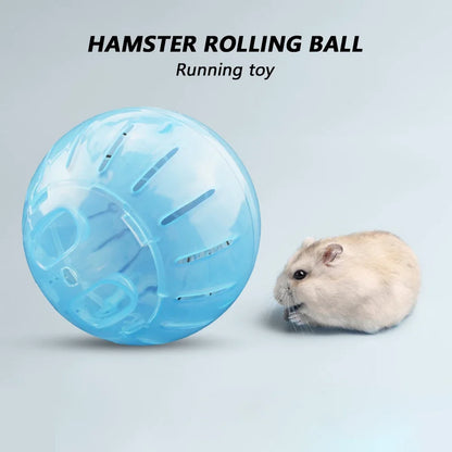 Outdoor Sport Ball for Small Pets