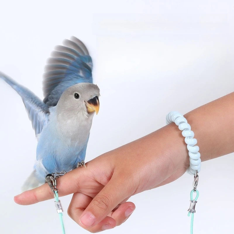 Parrot Bird Flying Training Leash Ultra-light Flexible Rope Anti-bite Leg Ring Harness Outdoor Macaw Cockatiel Starling 앵무새 장난감