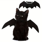 Black Cat Bat Wings Costume Halloween