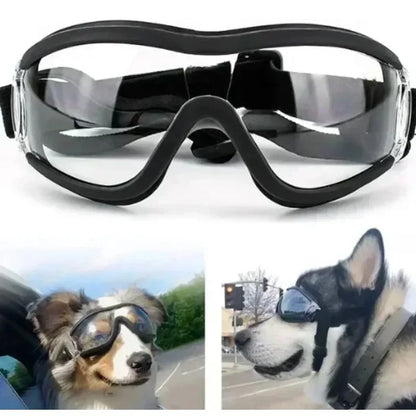 Dog sunglass Eye-wear Protection