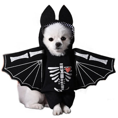 Halloween Dagger Pet Transformation Dress with Funny Knife