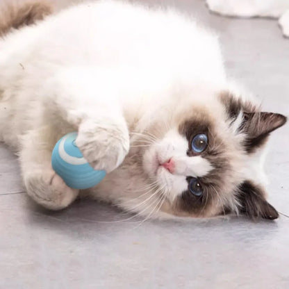 Rechargeable Smart Rolling Ball Toys for Cat