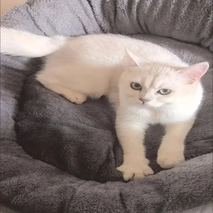 Soft Warm cushion beds for dogs and cats