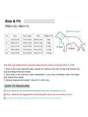 Green Frog Pet Sweater for Small to Medium Dogs