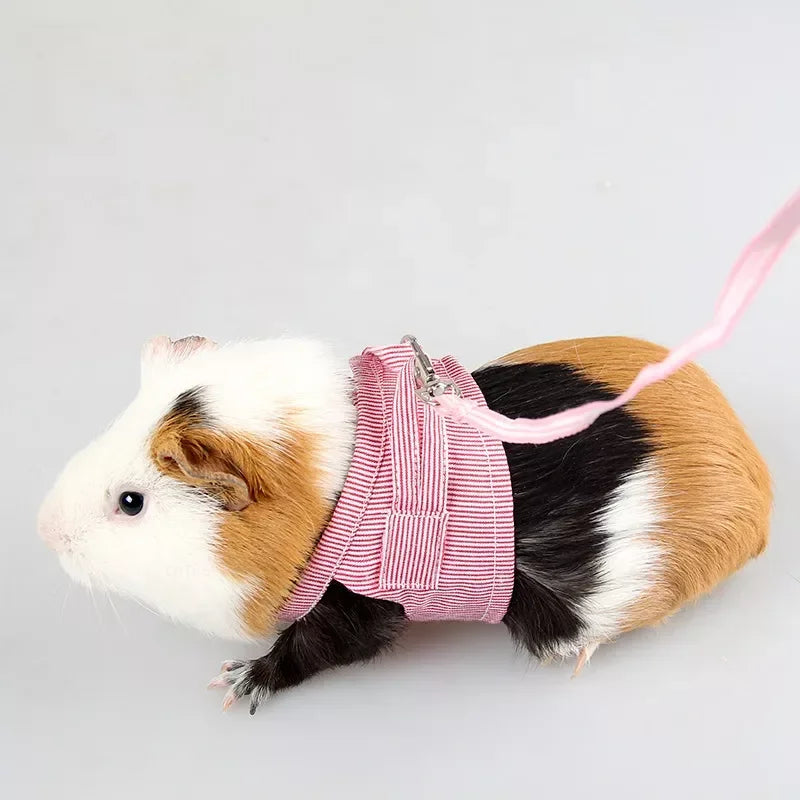 Hamster Adjustable Harness Leash Vest for Rabbit/Guinea Pig