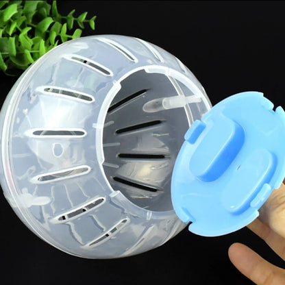 Outdoor Sport Ball for Small Pets